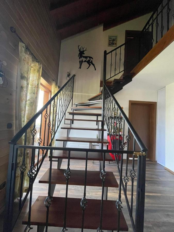 Pirin Golf Penthouse Iliyana Apartment Bansko Exterior photo